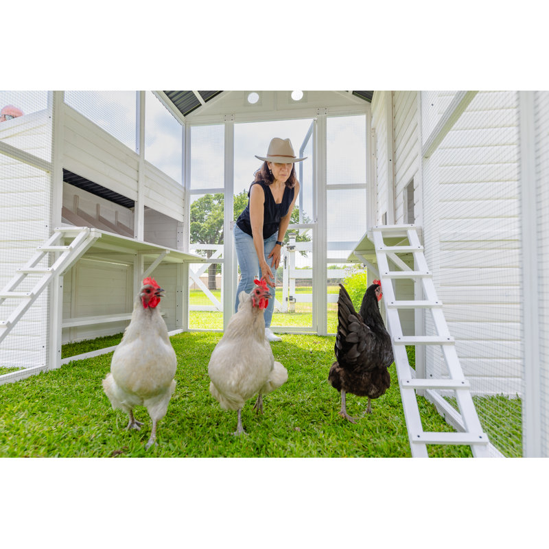 Zylina Modern Countryside Chicken Coop | Wayfair